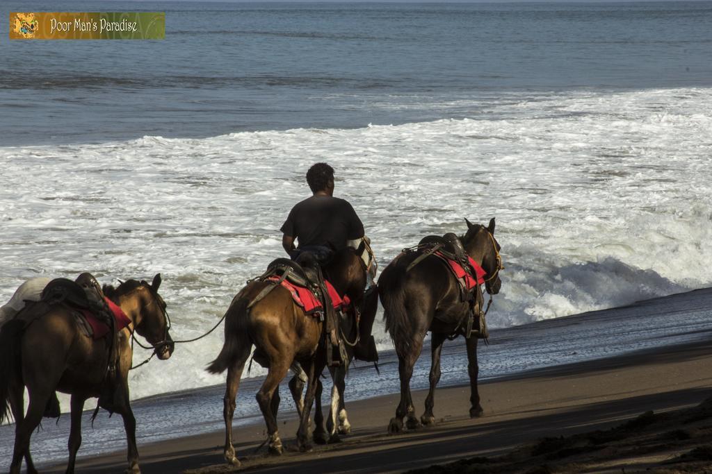 Poor Man's Paradise * Drakes Bay